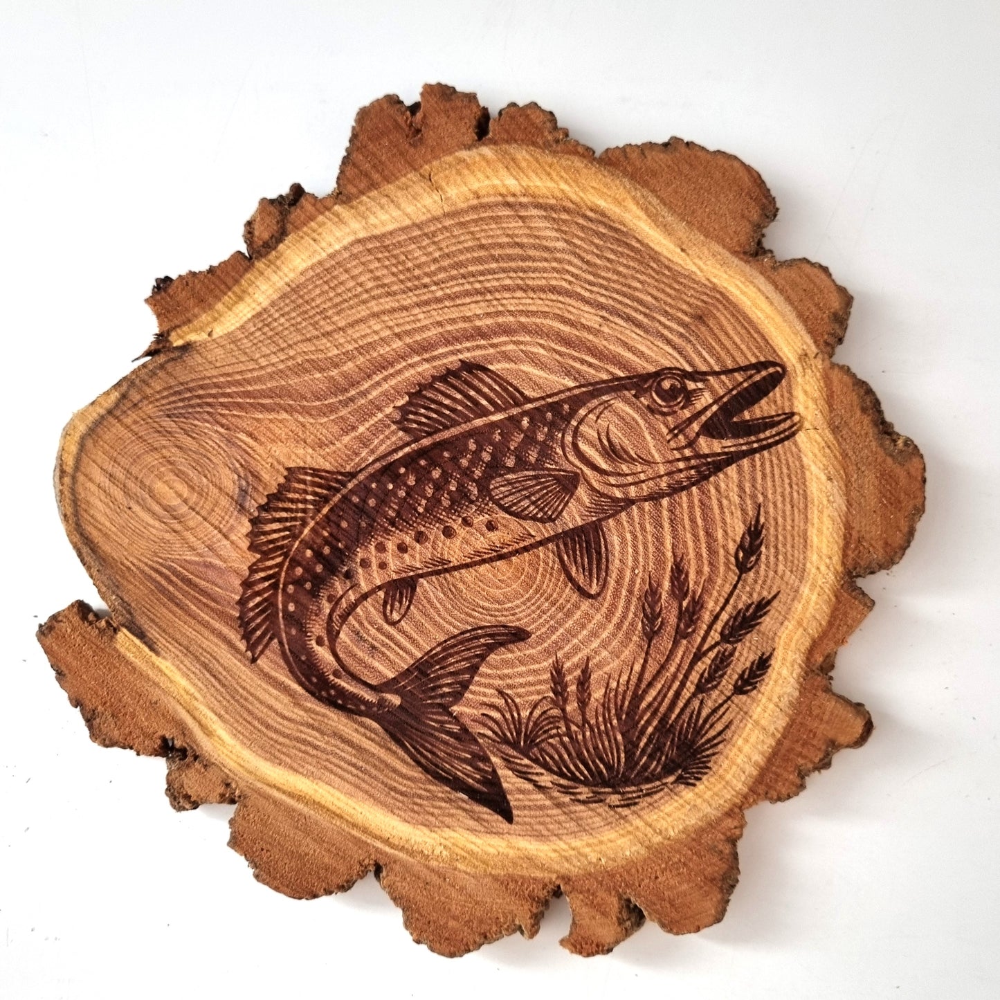 Rustikale Baumscheibe graviert mit Fisch-Motiven