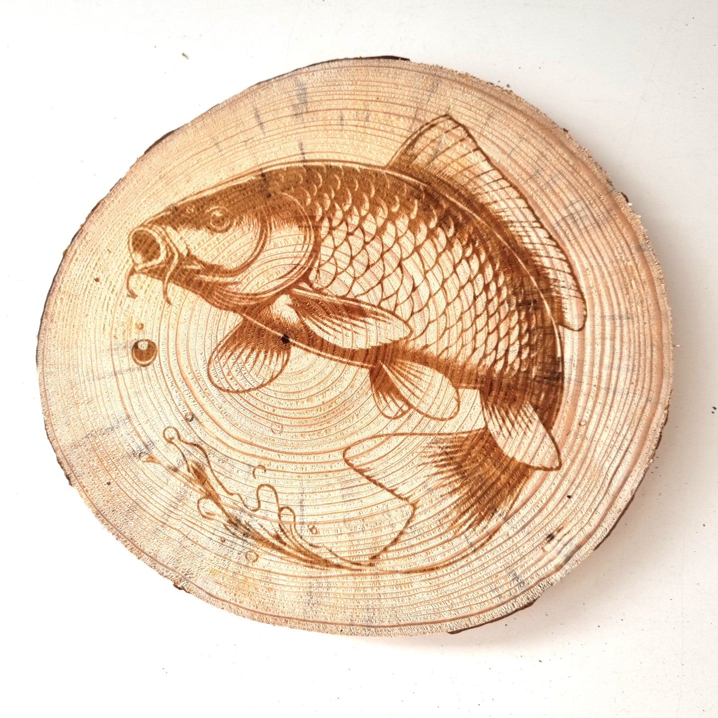 Rustikale Baumscheibe graviert mit Fisch-Motiven