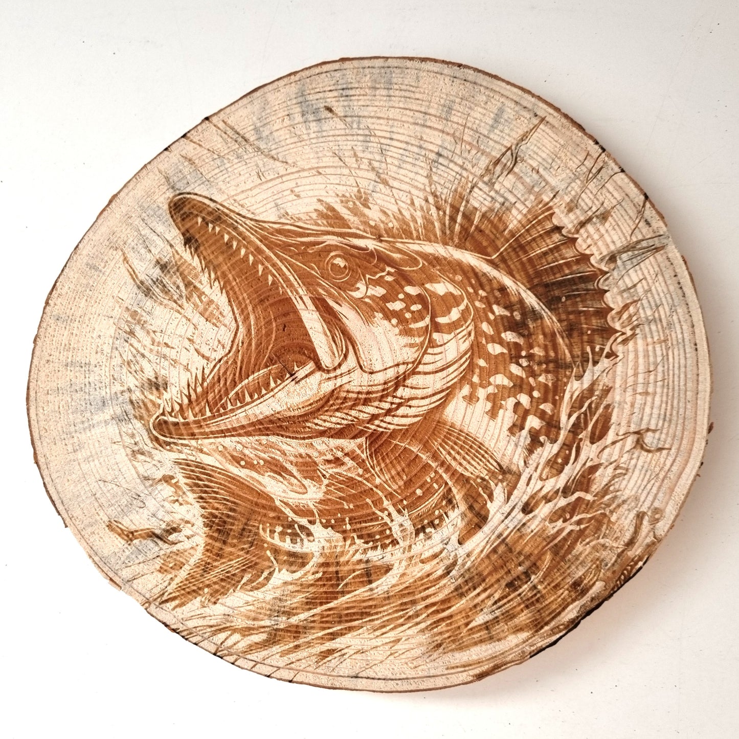 Rustikale Baumscheibe graviert mit Fisch-Motiven